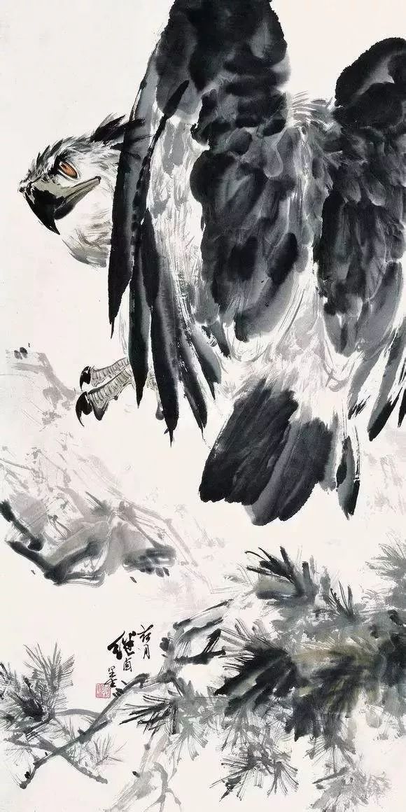  吹杨三分雨浇灭老鹰复仇成功  